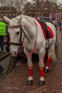 2025-11-15 Jan intocht 143
